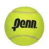 Penn 10 Inch Jumbo Inflatable Tennis Ball