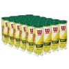 Wilson Championship Regular Duty Tennis Balls - 24 Can Case