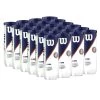 Wilson Roland Garros All Court Tennis Balls - 24 Can Case