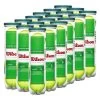 Wilson Starter Play Green Dot Junior Tennis Balls - 18 Can Case