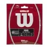 Wilson Natural Gut 17/1.25 Tennis String (Natural)
